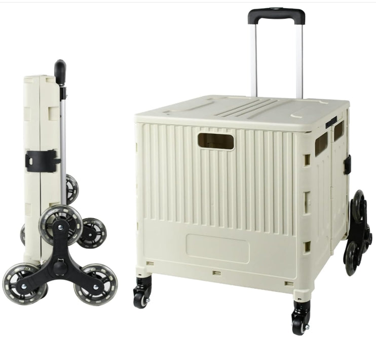 Removable Collapsible Basket with Handle Foldable Trolley