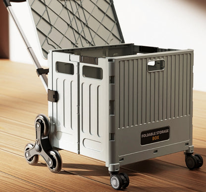 Removable Collapsible Basket with Handle Foldable Trolley