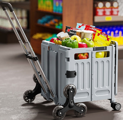 Removable Collapsible Basket with Handle Foldable Trolley