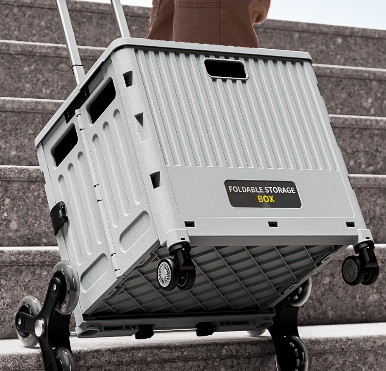 Removable Collapsible Basket with Handle Foldable Trolley