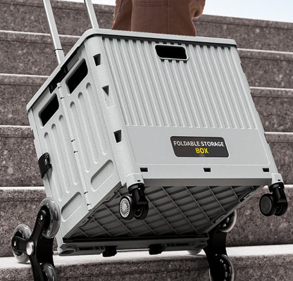 Removable Collapsible Basket with Handle Foldable Trolley