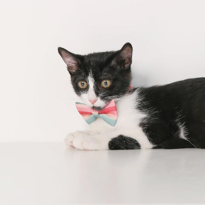PIDAN Cat Bow Tie Collar