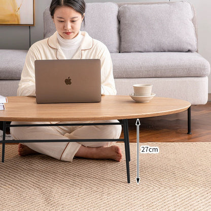 Elegant Oval Coffee Table