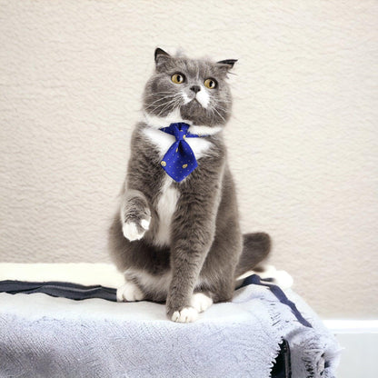 PIDAN Pet Necktie Collar