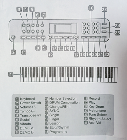 61 Key Keyboard Piano with Stand Suitable for Children